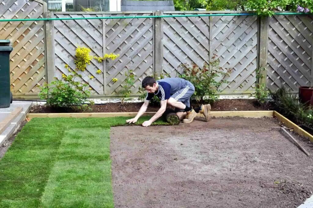 Посадка газона своими руками поэтапно на даче Useful Guide for Successful Turf Laying Ideas!