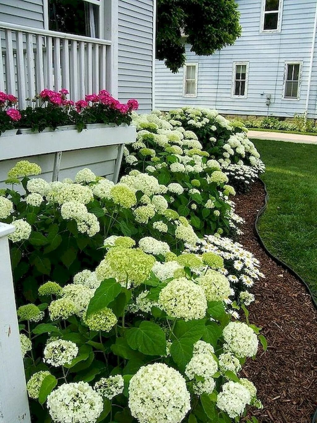 Посадка гортензии фото 21 Low Maintenance Front Yard Landscaping Ideas - homixover.com Cheap landscapin