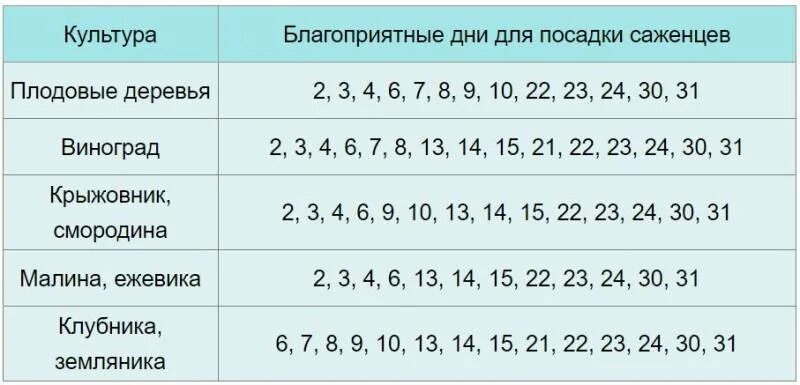 Посадка клубники по лунному календарю 2024 Лунный календарь посадки клубники в августе 2024 - найдено 66 картинок