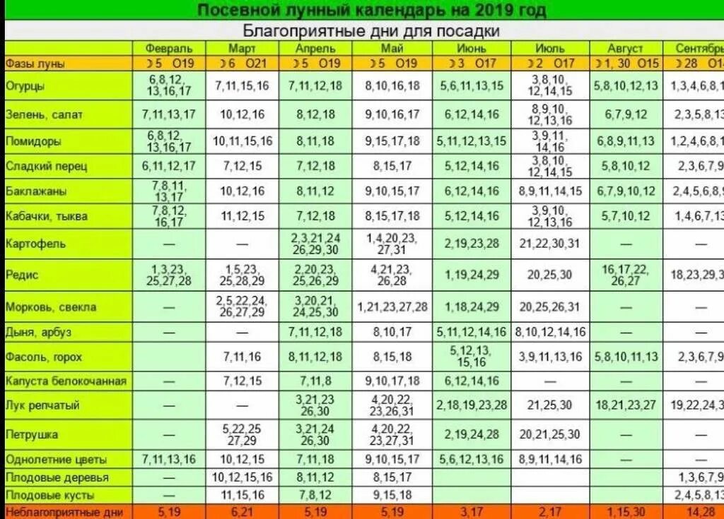 Посадка клубники по лунному календарю 2024 Посевной календарь для сибири на 2024г август