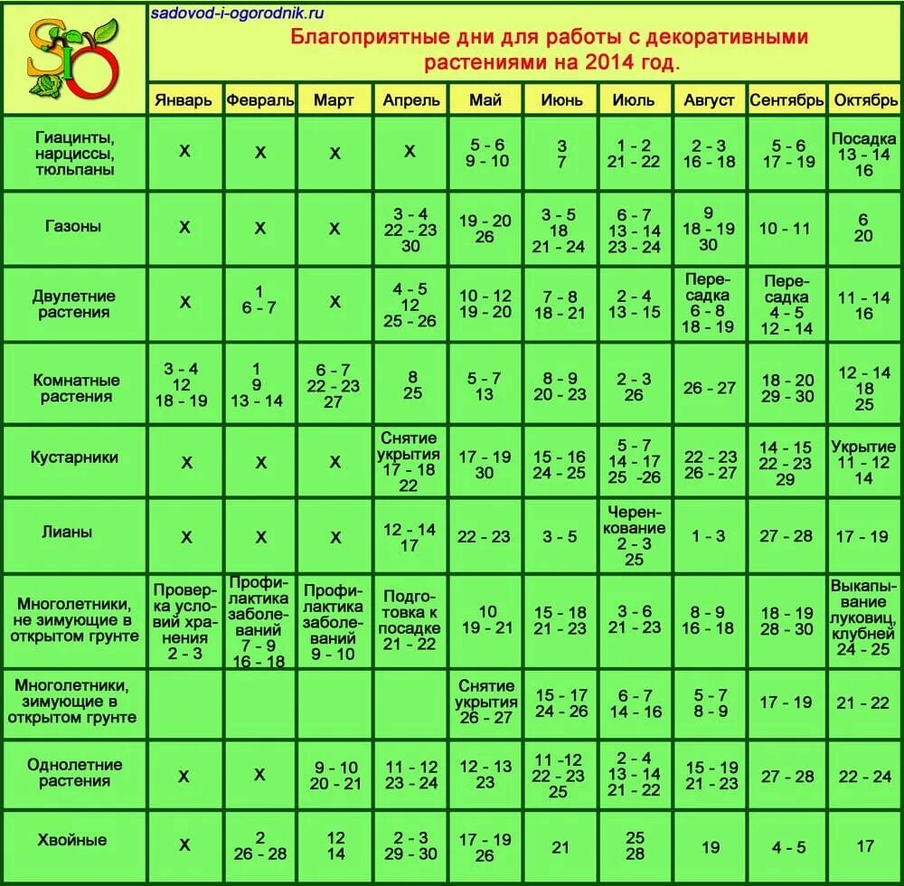 Посадка комнатных растений по лунному календарю Картинки КАЛЕНДАРЬ ПЕРЕСАДКИ РАСТЕНИЙ