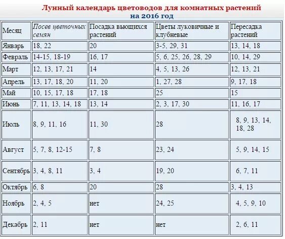 Посадка комнатных растений по лунному календарю Когда можно пересаживать цветы фото, видео - 38rosta.ru