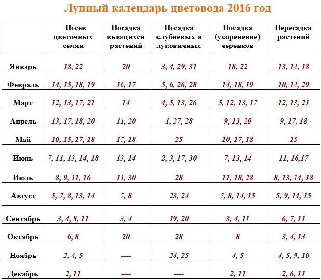 Посадка комнатных растений по лунному календарю Картинки КАЛЕНДАРЬ ПЕРЕСАДКИ РАСТЕНИЙ