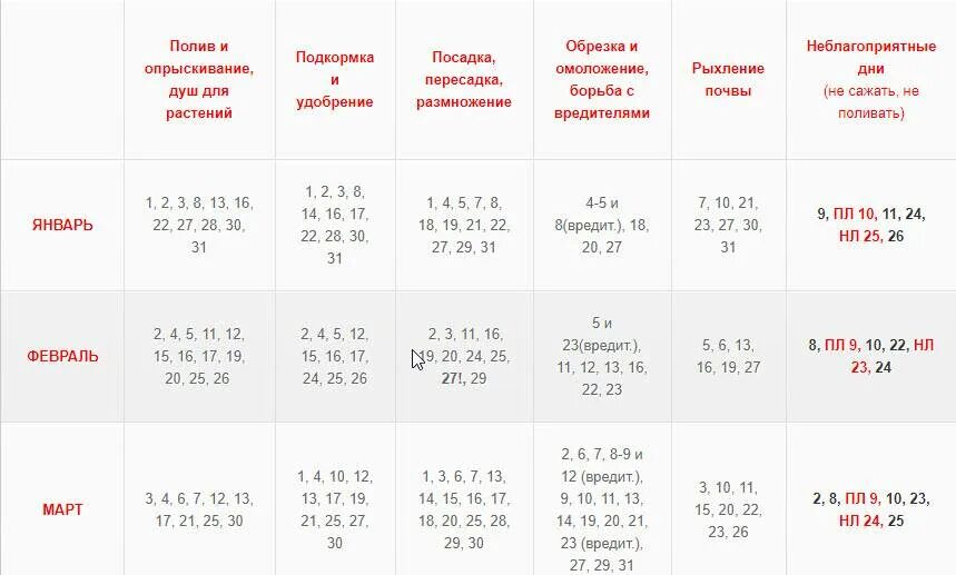 Посадка пересадка комнатных растений по лунному календарю