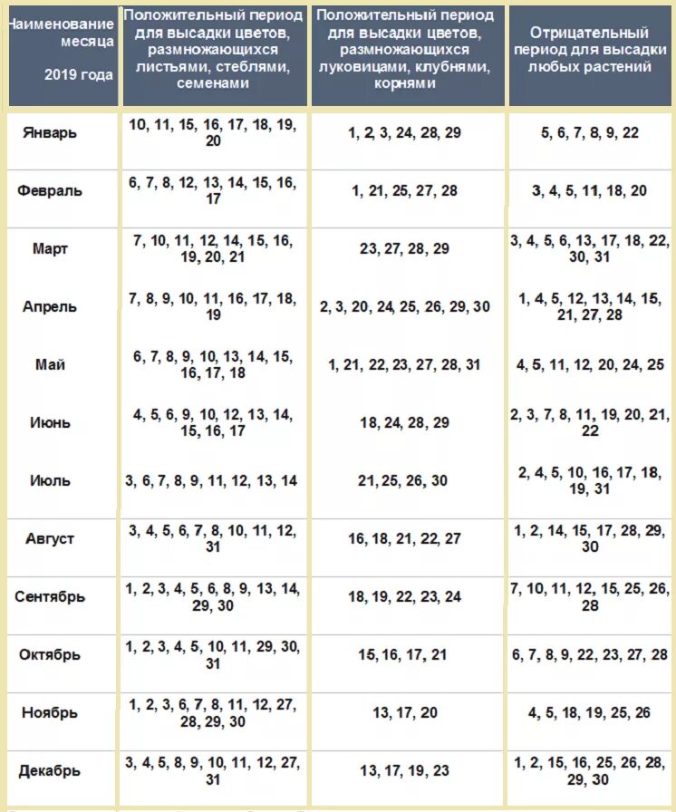 Посадка комнатных растений по лунному календарю Лунный календарь когда пересаживать цветы