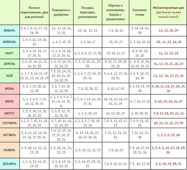 Посадка комнатных растений по лунному календарю Лунный календарь для комнатных цветов на 2017 год: благоприятные дни для посадки