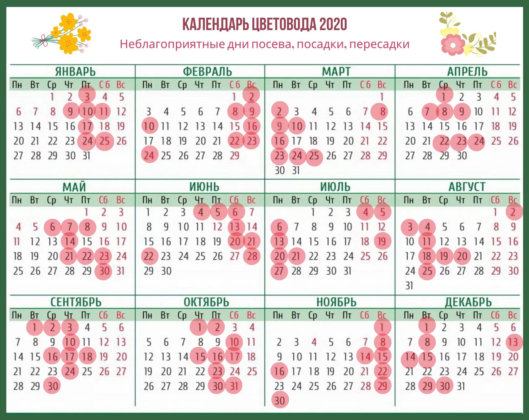 Посадка комнатных растений по лунному календарю Лунный календарь на март 2024г комнатные растения: найдено 70 изображений