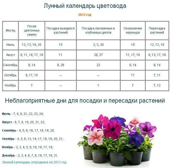 Посадка комнатных растений по лунному календарю Картинки КАЛЕНДАРЬ ПОЛИВА РАСТЕНИЙ