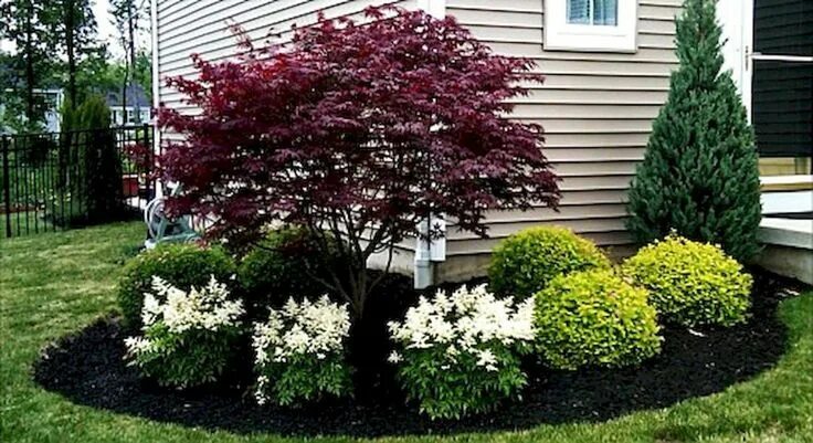 Посадка кустарников фото outstanding 45 Stunning Front Yard Landscaping Ideas on A Budget https://homedec