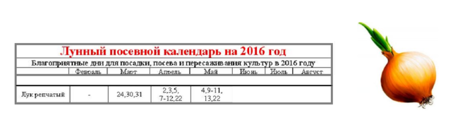 Посадка лука осенью под зиму лунный календарь Лунный календарь лук на зелень: найдено 83 изображений