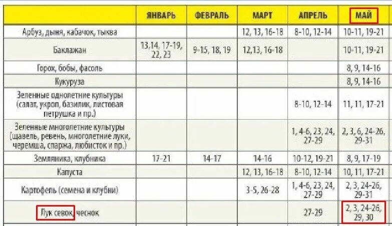 Посадка лука по лунному календарю В какие дни сажать лук в апреле: найдено 85 изображений