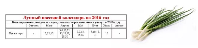 Посадка лука по лунному календарю Какого числа в мае посадить лук: найдено 80 изображений