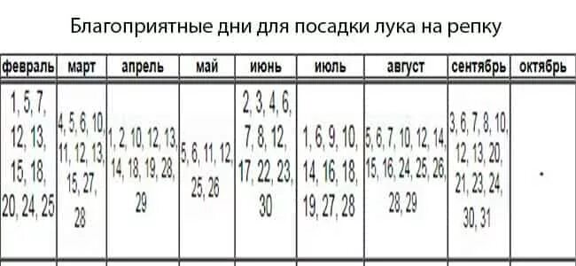 Посадка лука по лунному календарю в 2024 Какого числа сажать лук в 2024 году: найдено 83 изображений