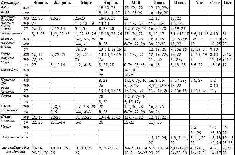 Посадка лука под зиму лунный календарь 2024 Календарь посадок на 2024 беларусь