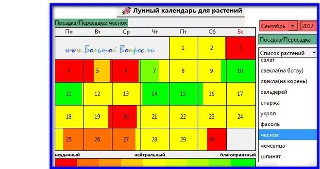 Посадка лука под зиму по лунному календарю Когда сажать чеснок под зиму в 2017 году по лунному календарю?