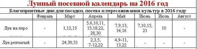 Посадка лука севка лунный календарь Лунный календарь севок - найдено 76 картинок