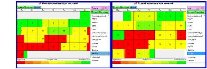 Посадка лука севка лунный календарь Когда сажать чеснок и лук в 2018 году по Лунному календарю?