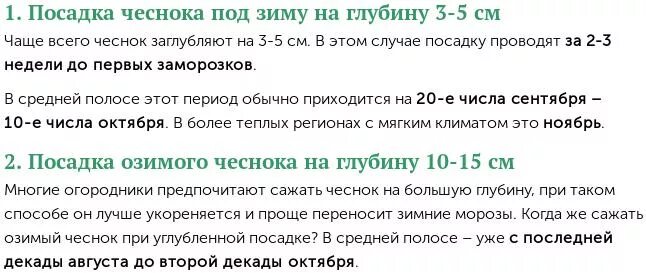 Посадка озимого чеснока по лунному календарю Когда сажать чеснок под зиму в 2021 году осенью? Посадка чеснока по лунному кале