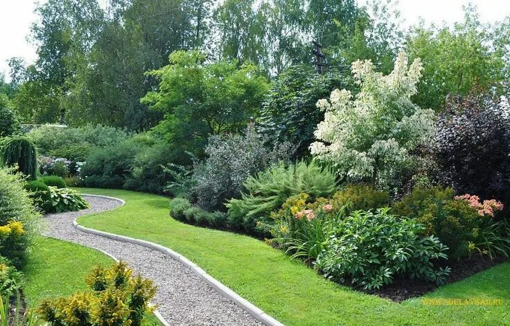 Посадка растений ландшафтный дизайн Новости Garden landscaping, Garden landscape design, Outdoor gardens design