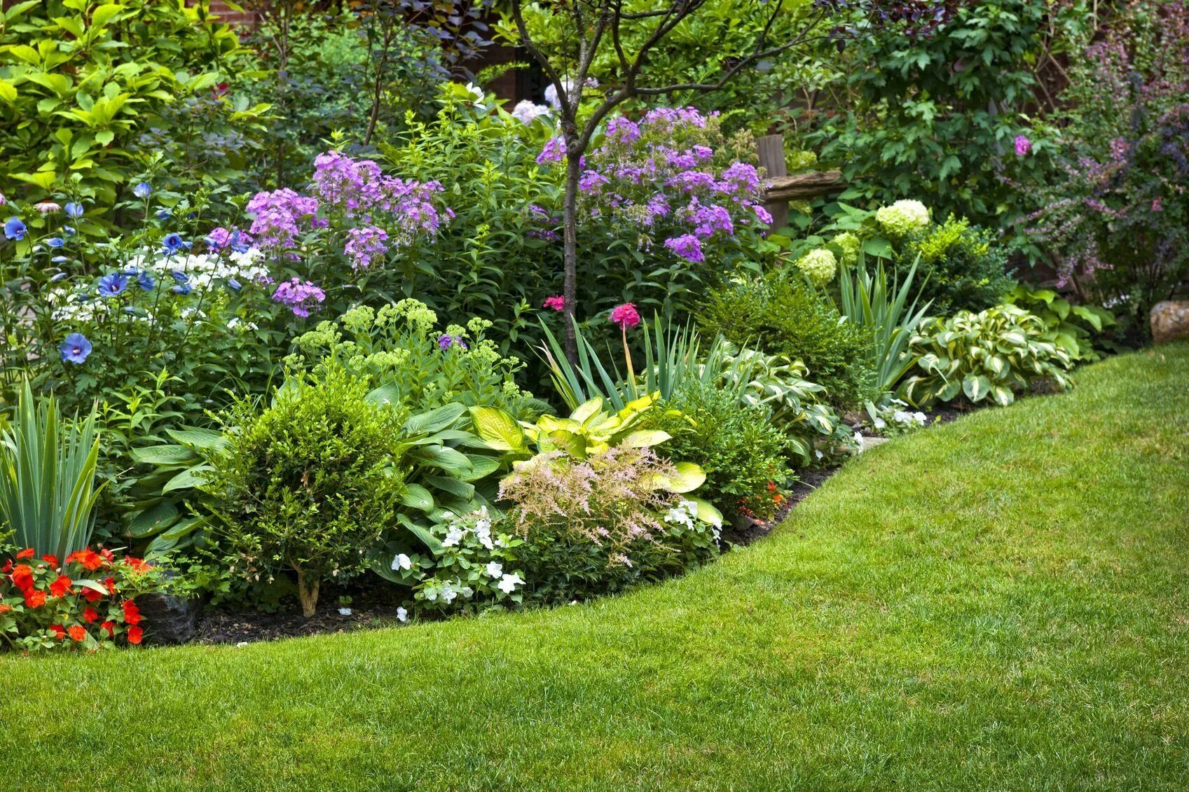 Посадка растений ландшафтный дизайн Zone 6 Growing Tips: What Are The Best Plants For Zone 6 Garden planning, Colorf