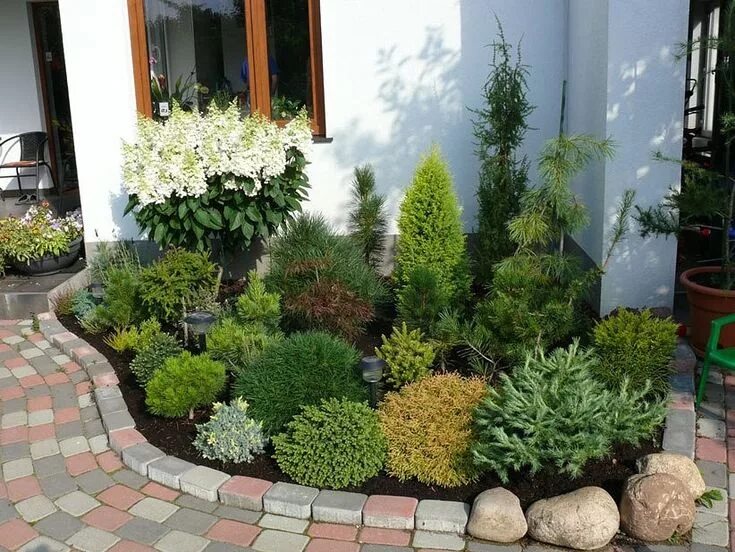 Посадка растений ландшафтный дизайн Pin on Для сада Shrubs for landscaping, Small front yard landscaping, Evergreen 