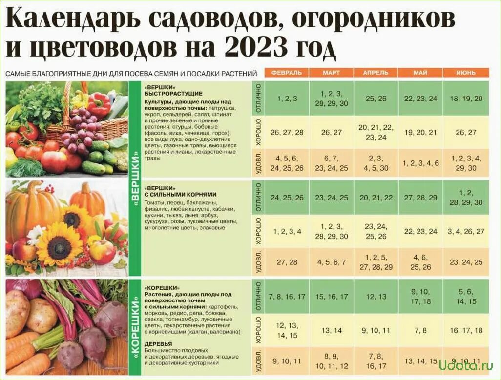 Посадка растений по лунному календарю 2024 Перец на рассаду в 2024 году - найдено 75 картинок