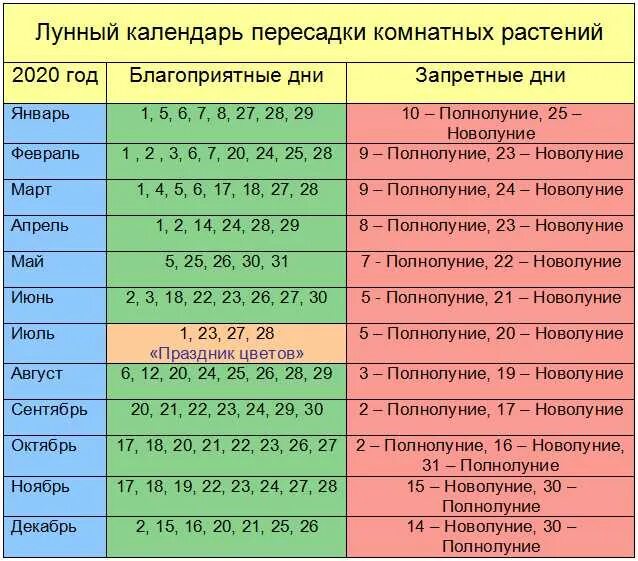 Посадка растений по лунному календарю 2024 Посадка пересадка комнатных растений по лунному календарю