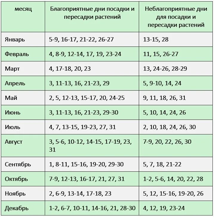 Посадка растений по лунному календарю 2024 Картинки ПОСАДКА КОМНАТНЫХ РАСТЕНИЙ ПО ЛУННОМУ
