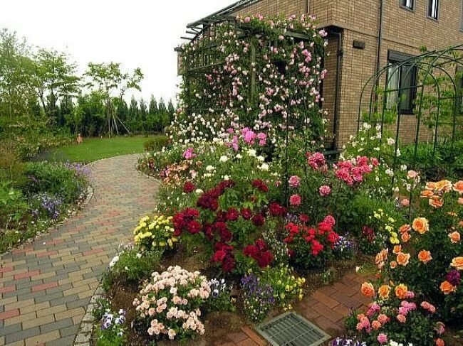 Посадка роз в саду фото 11 beautiful Rose Garden Designs for small yard you need to see Rose garden desi