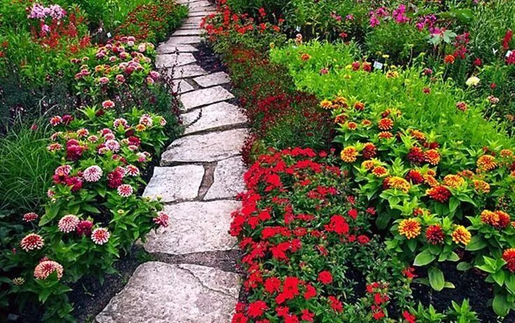 Посадка сентябринок фото вдоль дорожки Best Beautiful Stone Path around Flowers Ideas - Decor Renewal Beautiful flowers