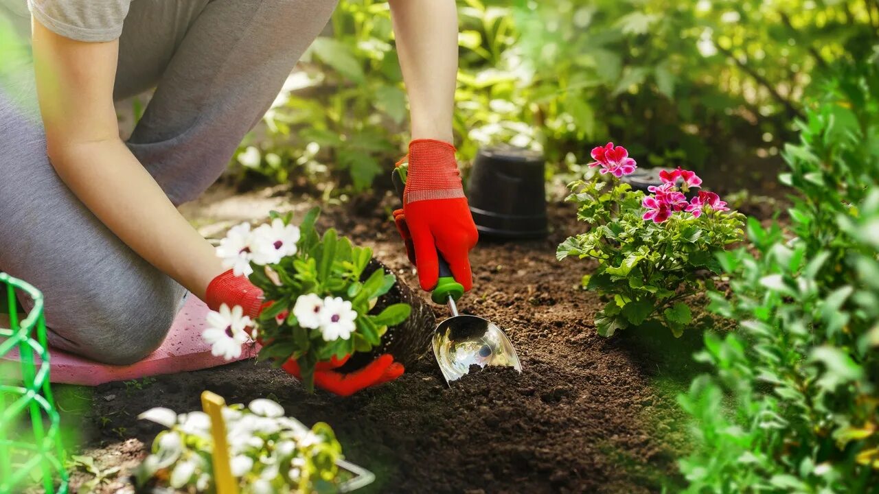 Посадка цветов фото 5 online courses on gardening that you can enrol in right now Vogue India