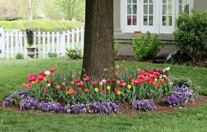 Посадка цветов в саду фото Bulbs planted around a tree. Spring bulbs garden, Bulb flowers, Bulbs garden des