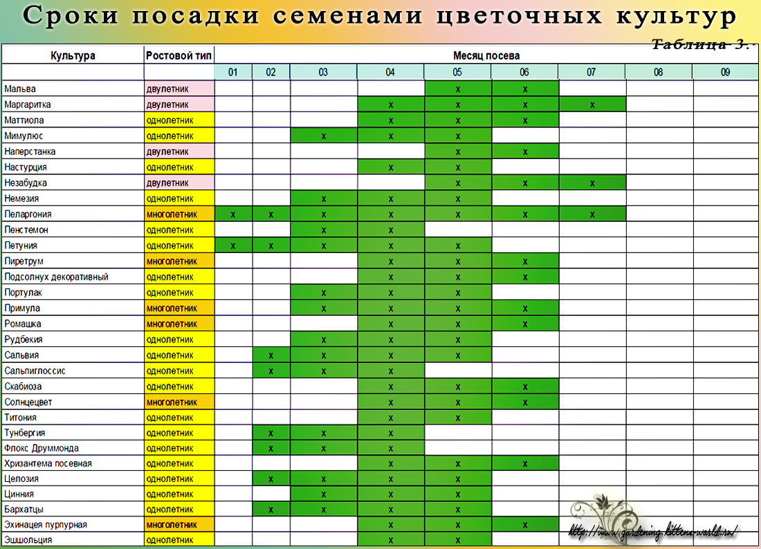 Посадка тюльпанов по лунному календарю Таблица сроков посадки цветов на рассаду