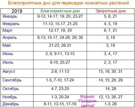 Посадка тюльпанов по лунному календарю Благоприятные дни для пересадки комнатных растений по лунному календарю в 2019 г