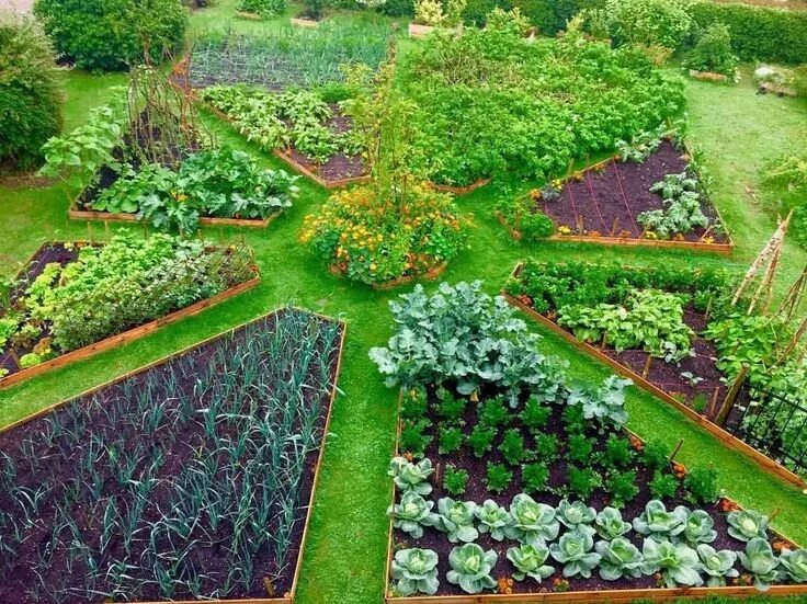 Посадки на дачном участке фото 40 Inspiring Vegetable Garden Design for Your Backyard - rengusuk.com Vegetable 