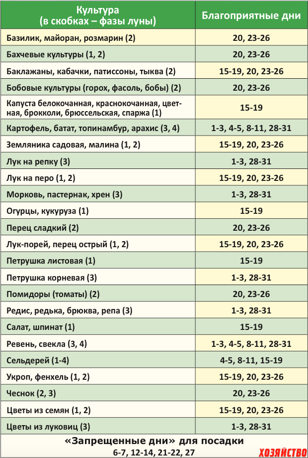 Посадки в октябре по лунному календарю благоприятные Лунно-посевной календарь садовода-огородника на октябрь 2015 года