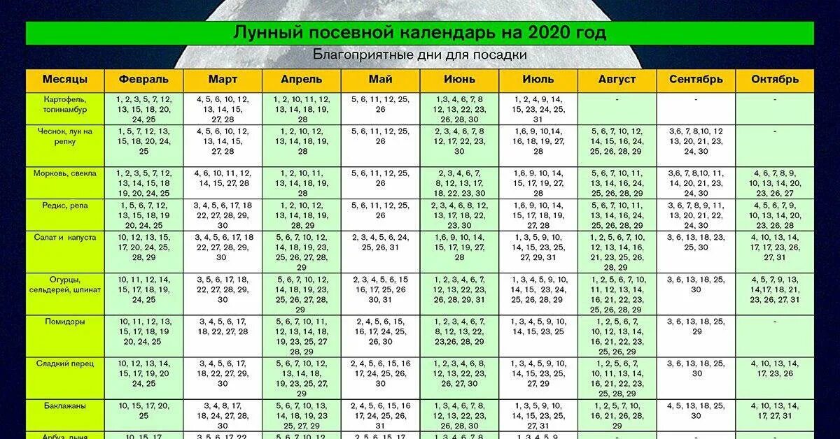 Посадки в октябре по лунному календарю благоприятные Календарь огородника 2017 года