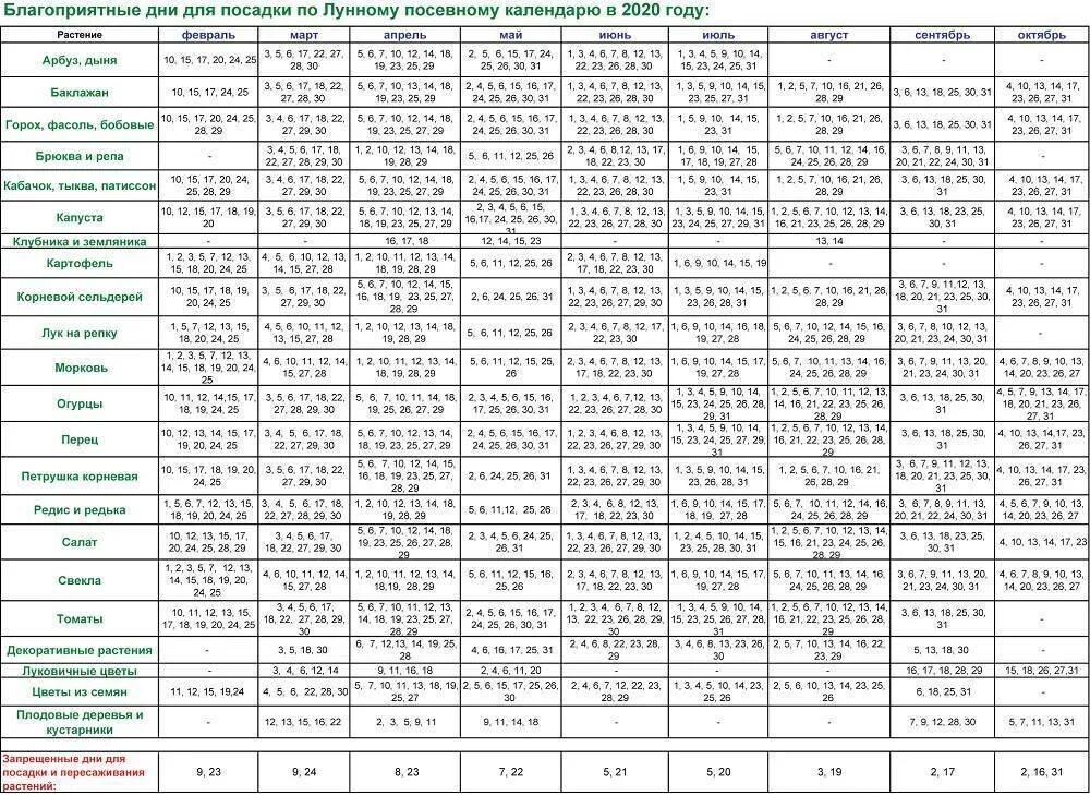 Посадки в октябре по лунному календарю благоприятные Определение удачного для посадки растений дня