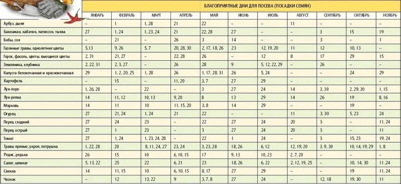 Посадочные дни чеснока по лунному календарю График посадки рассады в средней полосе