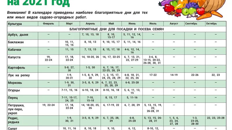 Посадочные дни чеснока по лунному календарю Посевной календарь кировской