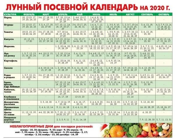 Посадочные дни по лунному календарю Посевной календарь сибири июнь 2024