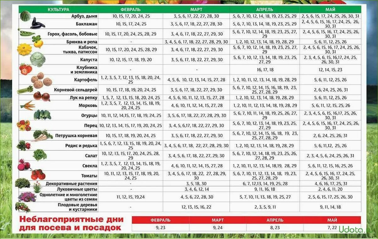 Посадочные дни по лунному календарю Картинки В КАКИЕ ДНИ МОЖНО ПЕРЕСАЖИВАТЬ РАССАДУ ПОМИДОР