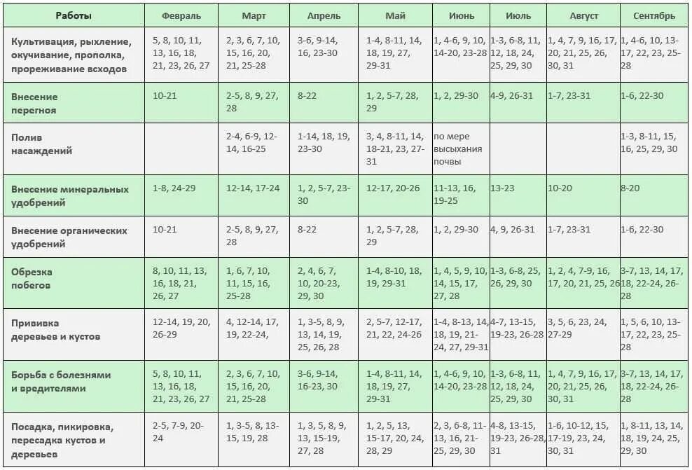 Посадочные дни в октябре по лунному календарю Посевной календарь спб