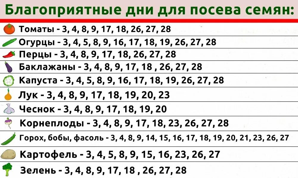 Посадочный календарь чеснока на октябрь 2024 года Удачный лунный посевной календарь на июнь 2024 года Центр Садовода Оренбург Дзен