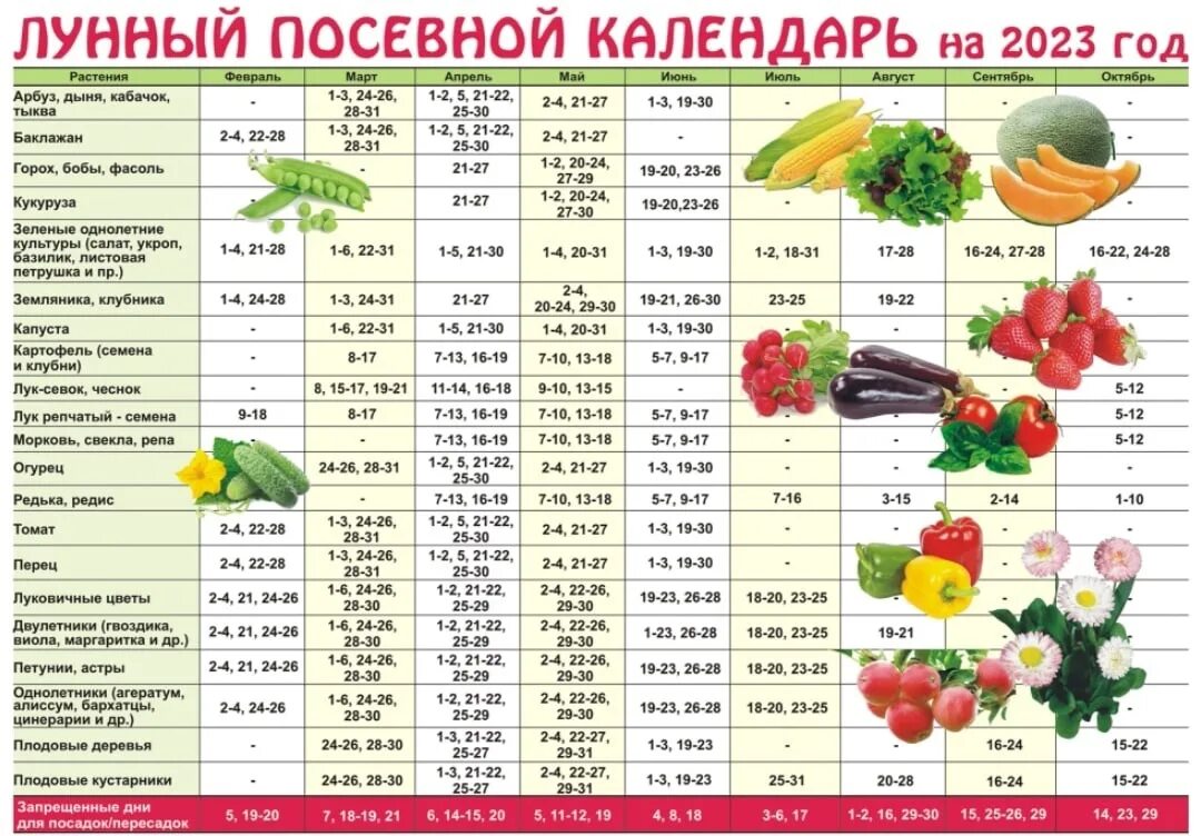 Посадочный календарь на 2024 год для сибири Посевные дни в марте 2024 года: найдено 76 изображений