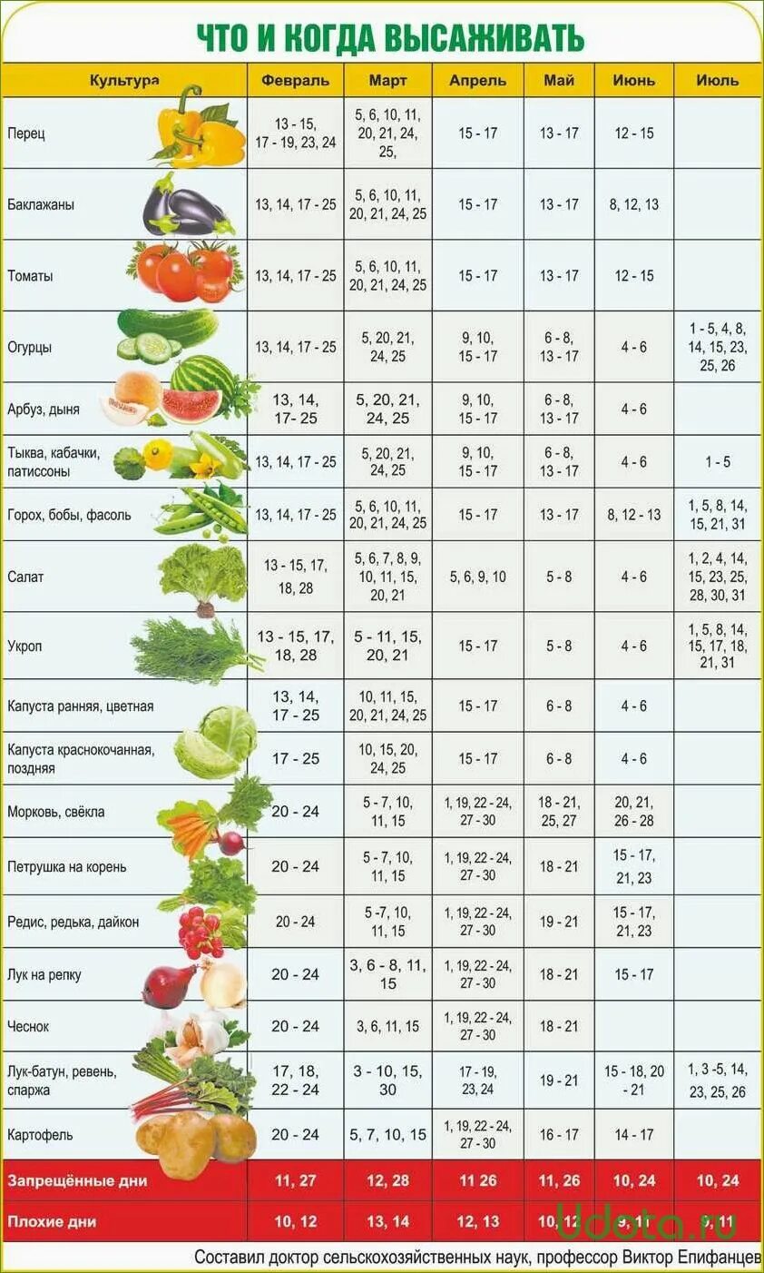 Посадочный календарь на 2024 год урал Дачный календарь огородника фото - DelaDom.ru
