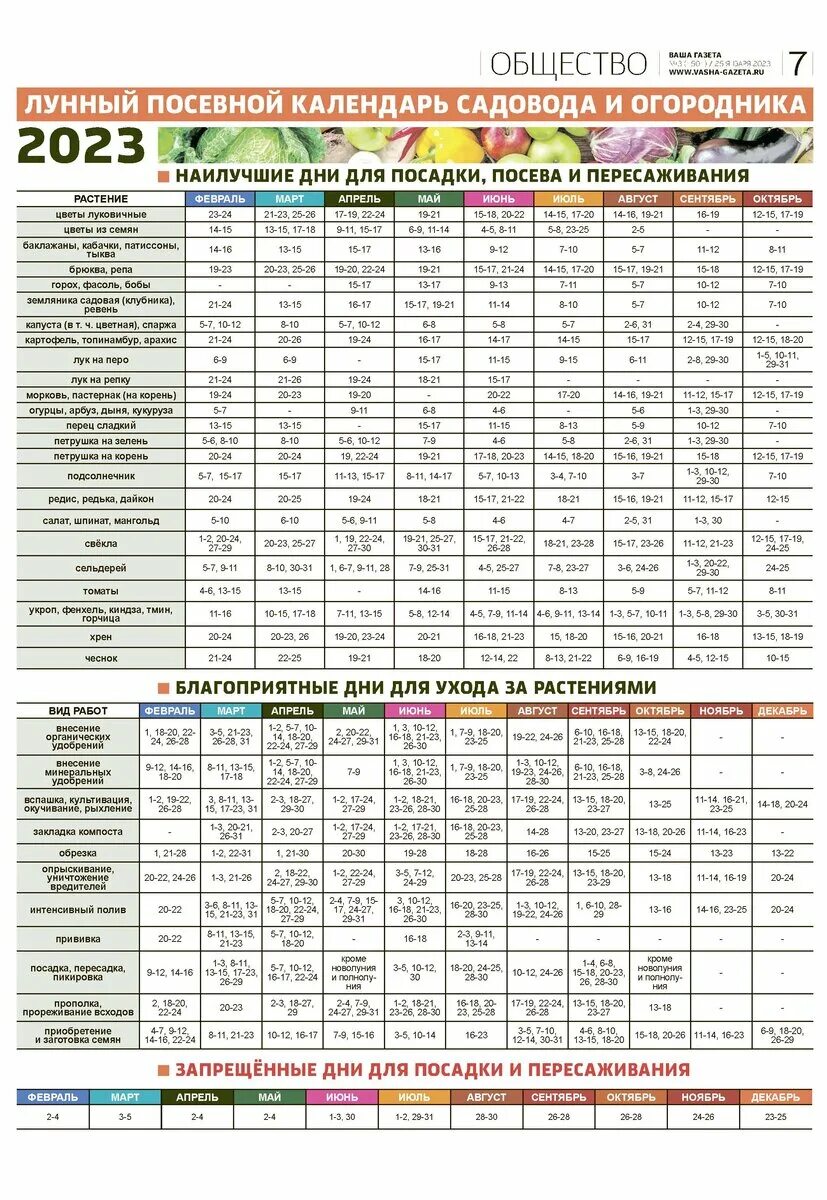 Посадочный календарь на год Посадочный календарь 2023 год садовода