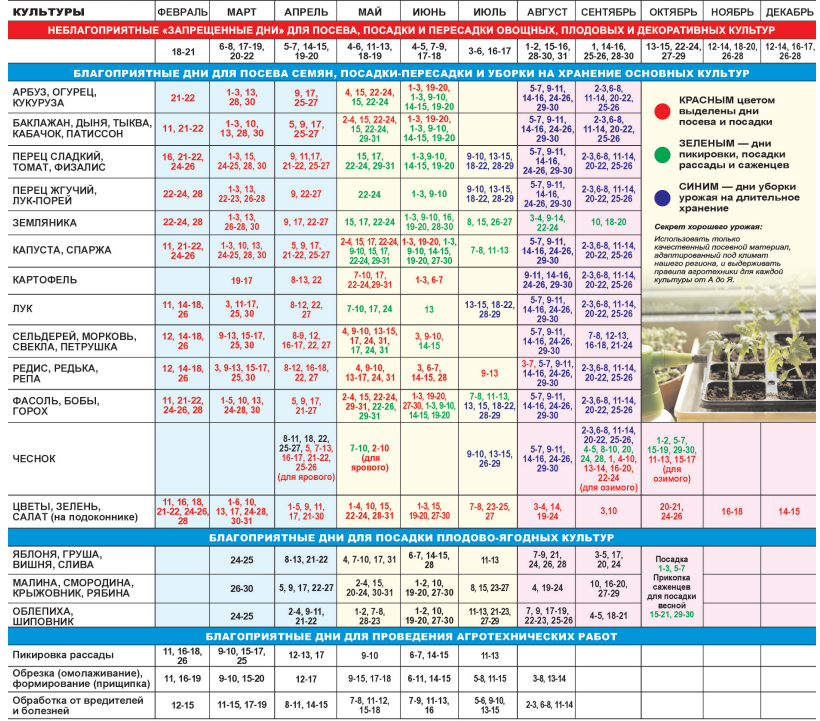 Посадочный календарь на октябрь 2024 года Календарь огородника кубани 2024