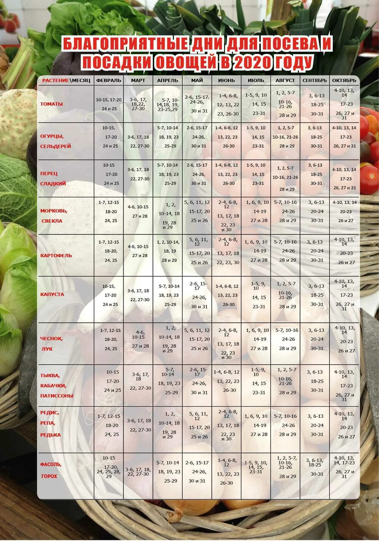 Посадочный календарь на октябрь 2024 года благоприятные Календарь посадки рассады на март 2024 садовода
