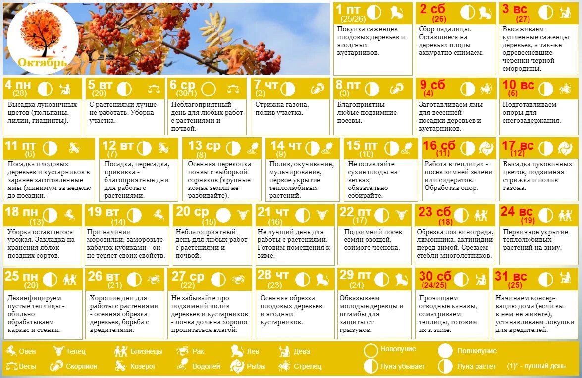 Посадочный календарь на октябрь месяц 24 года Лунный календарь на июль 2024г благоприятные дни